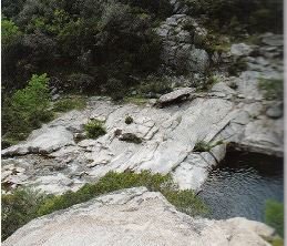 Gneiss leucocrates dans le lit de la Massane