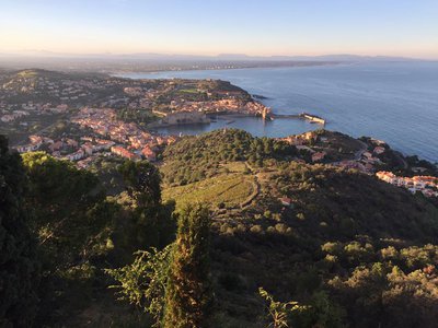 Panorama Collioure