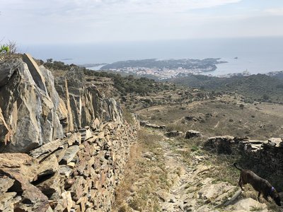 Pedra seca