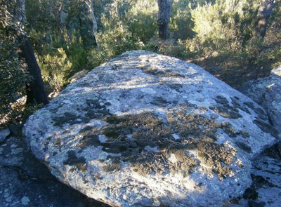 Dolmen de Sant Pere dels Forquets