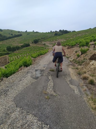 Vélo Cerbère Port-Vendres