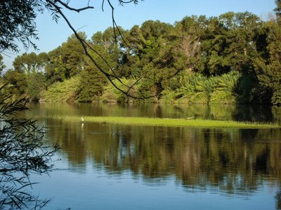 Les bords du Tech