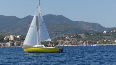 Voile