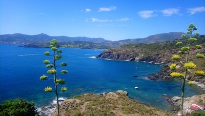 Baie de Paulilles depuis Cap Béar