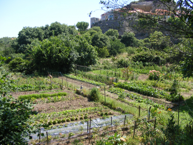 Jardin Laroque